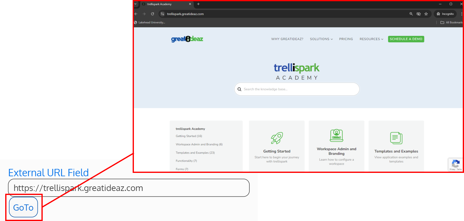 Screenshot of an external URL field with a GoTo button, and a popup window at the link address