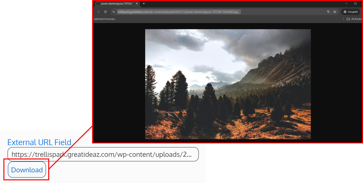 Screenshot of an external URL field with a download button, and a popup window of a downloaded image