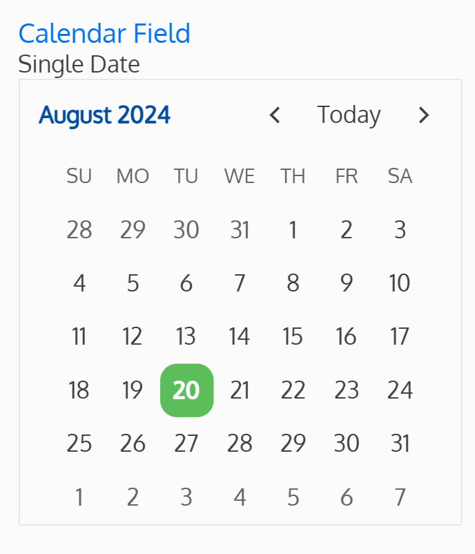 Screenshot of the single date calendar field