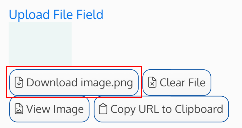 Screenshot of the download button