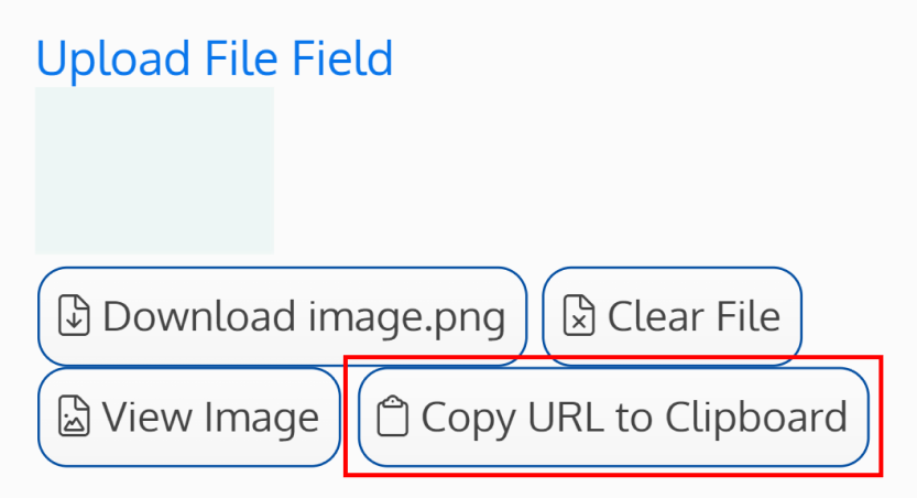 Screenshot of the copy file button