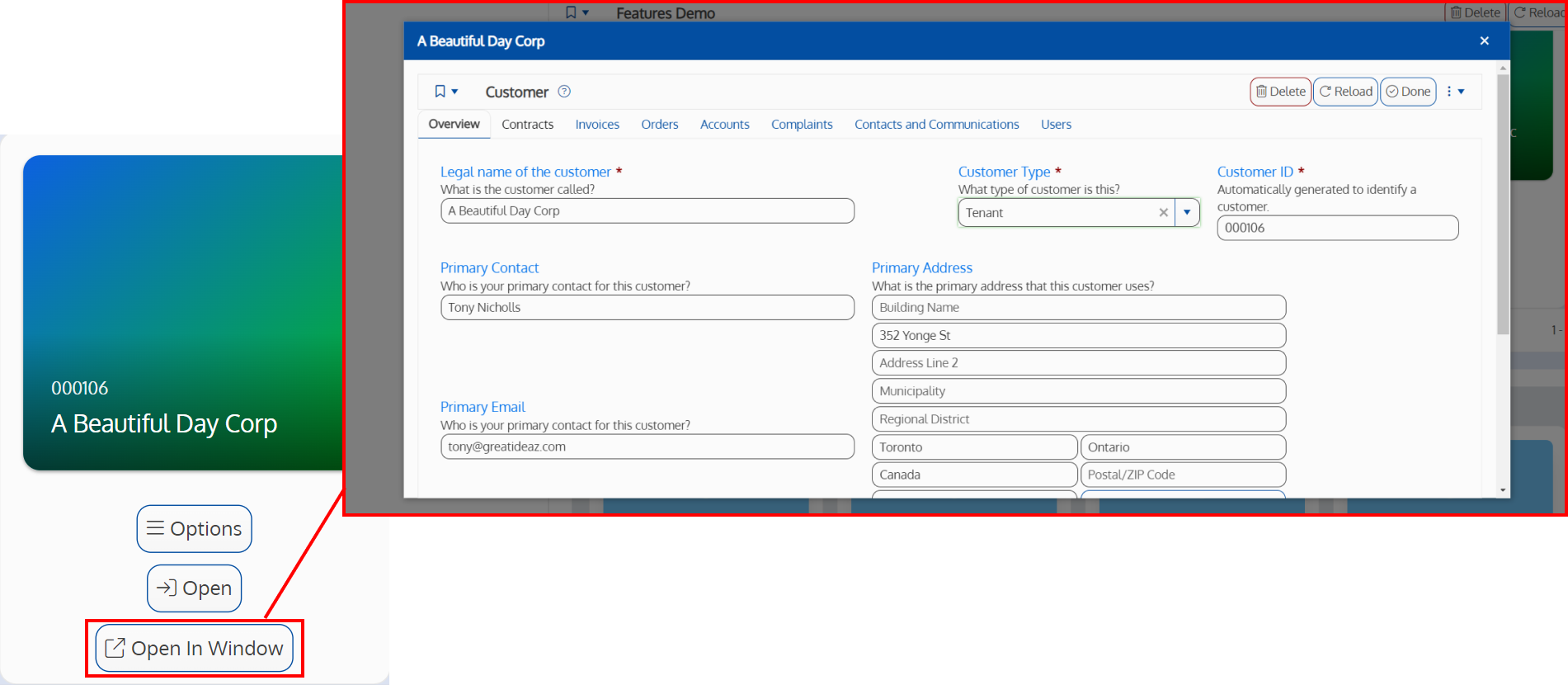 Screenshot of a card field with an open button, showing the instance opened in a new window