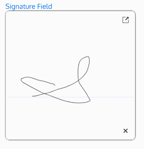 Screenshot of the signature field